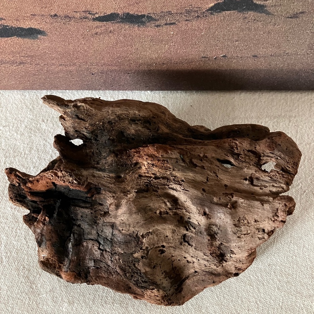 ‘Holey’ Redwood Driftwood